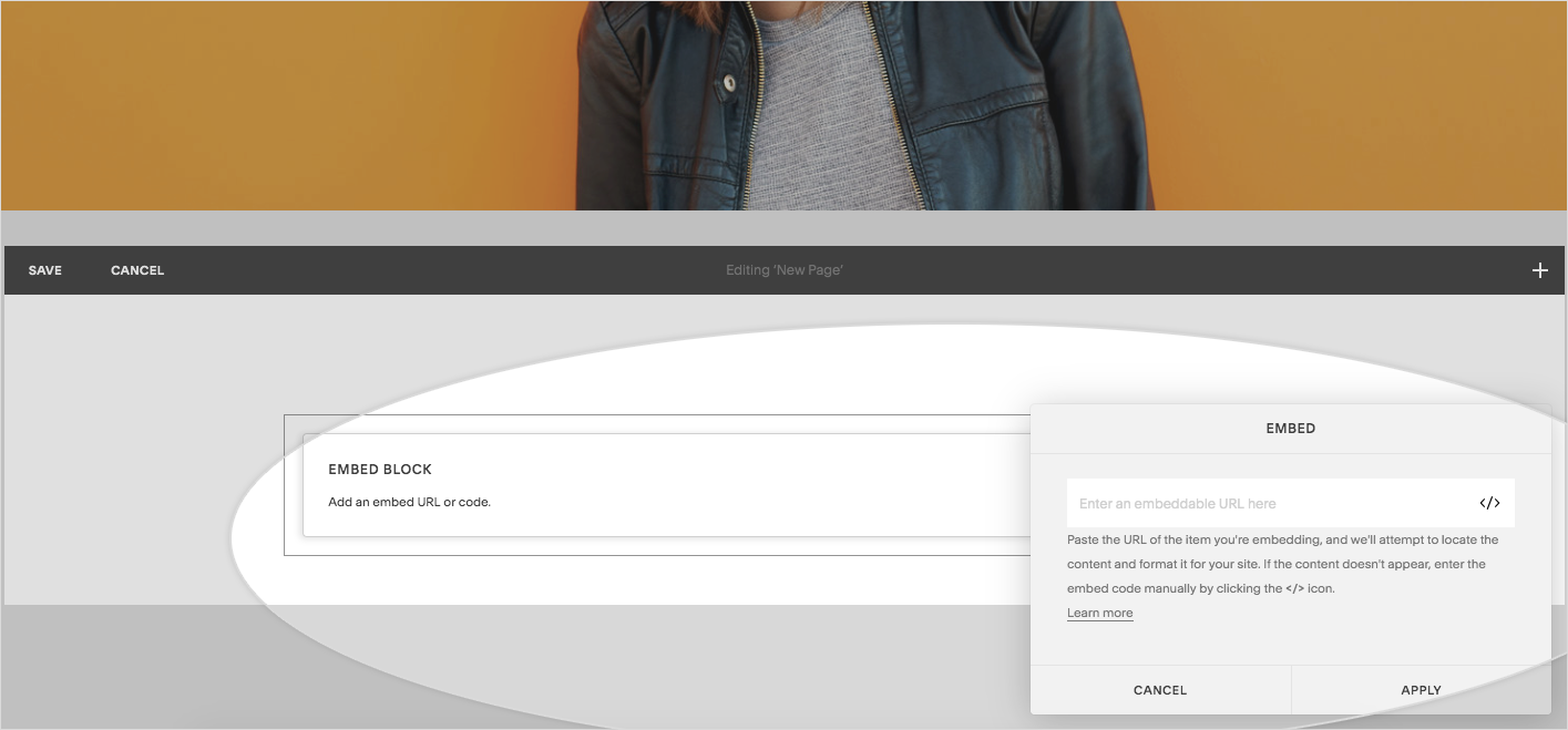 Preview of pasting embed code in squarespace website